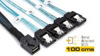 Cable interno SAS HD SFF 8643 x 4 - 4 x SATA 1m