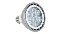 Lâmpada Led PAR10/38 230V